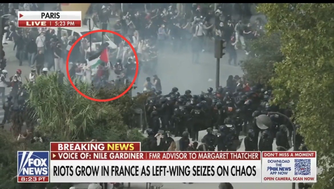 VijayGajeraO's tweet photo. Riots are happening in France.

Tell me which country’s flag is in the hand of a protester? https://t.co/3zpL4QzwzI