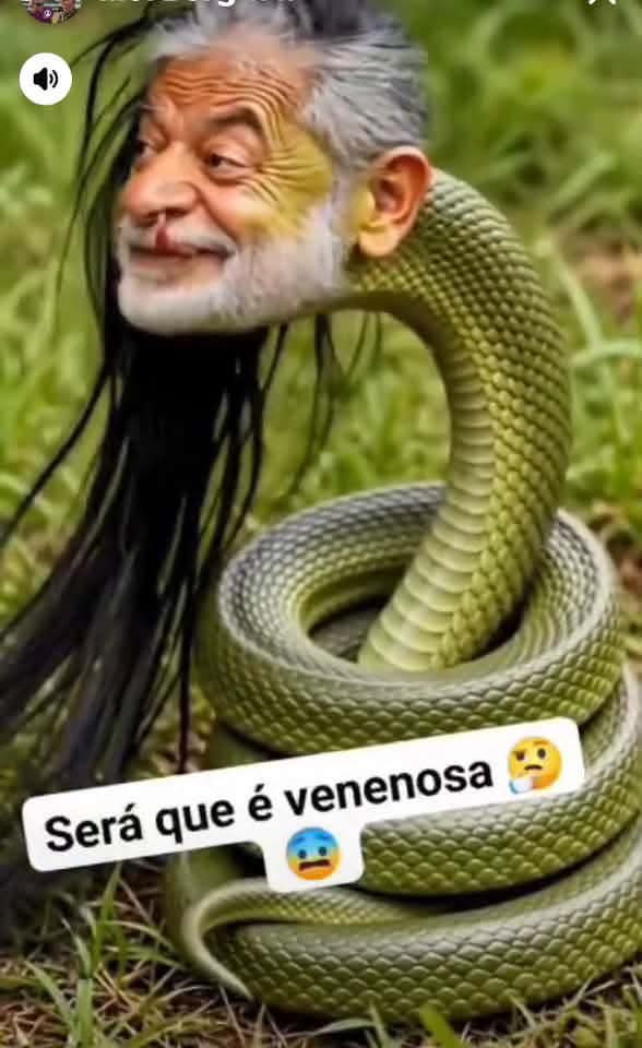 CleusaAlve14844's tweet photo. @TucaAndrada3 O Lula roubou a sua chance de aposentadoria e de toda sua família. Ele quebrou o Brasil, não existe mais dinheiro pra aposentar mais ninguém idiota 🤬 https://t.co/y1fMgL6mXu