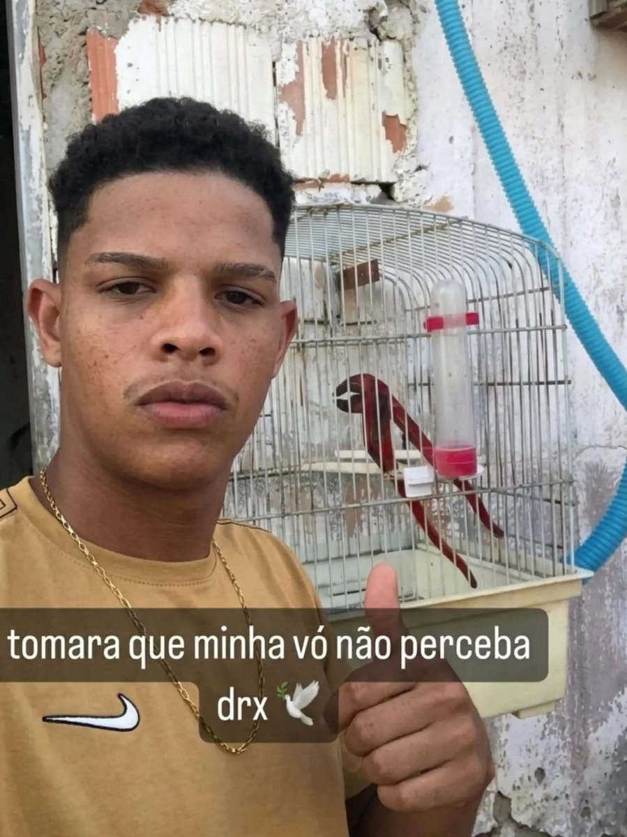 shitpostverdade's tweet photo. https://t.co/hlvvZjV1xK