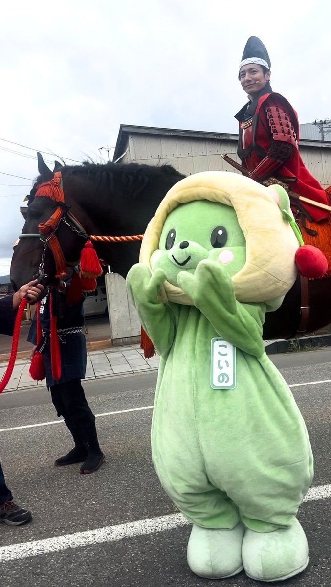 kiyokawaya's tweet photo. 2026.10.6 荘内大祭

①大名行列の最中、酒井忠次公役を務めた和田琢磨さんが馬上からこいのちゃん(部長)を見ている👀

②口取さんの案内でこいのちゃん(部長)一緒に参戦

③囲み取材開始

和田琢磨さん、琢磨さんファンのみなさんをはじめ、昨日こいのちゃん(部長)と交流してくださったみなさんありがとうございました🙇‍♀️