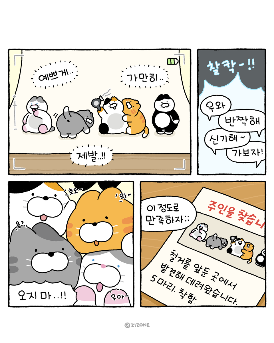 pingo_daily's tweet photo. 핑고가 냥빨한 이유 📷💥

#지존 #미니핑고 #핑고 #쪼꼬냥이 #툰 https://t.co/2QnlK3iWJy