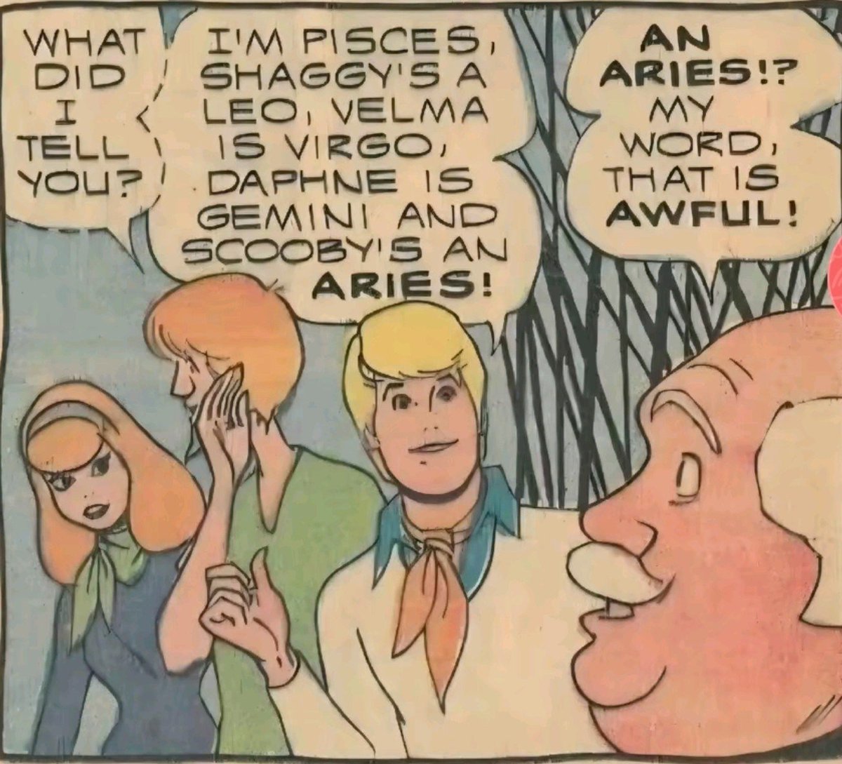 opheliafrumps's tweet photo. forgot to add but comics #canon https://t.co/0ohxJUMaTn
