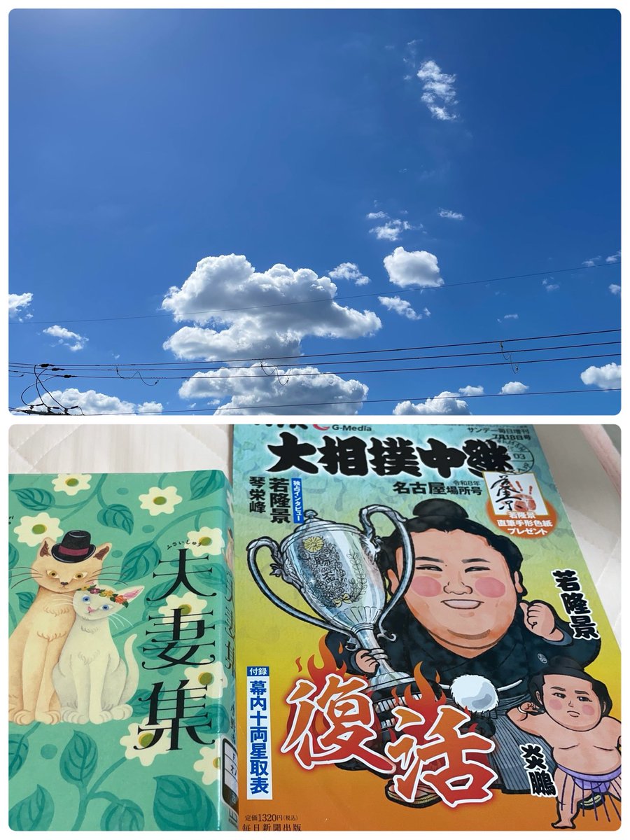 TooraMoo's tweet photo. こんにちは♪
日に日に朝の冷え込みが厳しくなってきてる感じ。夜寝る時には、それ程でもないんだけどね。

昨日はお客様の所でコロナが発生して（当分続きそう😓）仕事がキャンセルになったので、図書館へ行ったら、お相撲の雑誌があったよ😍最新号は借りれないけど、お相撲🔰だから充分楽しめそう☺️ https://t.co/9vsfpMWbaL