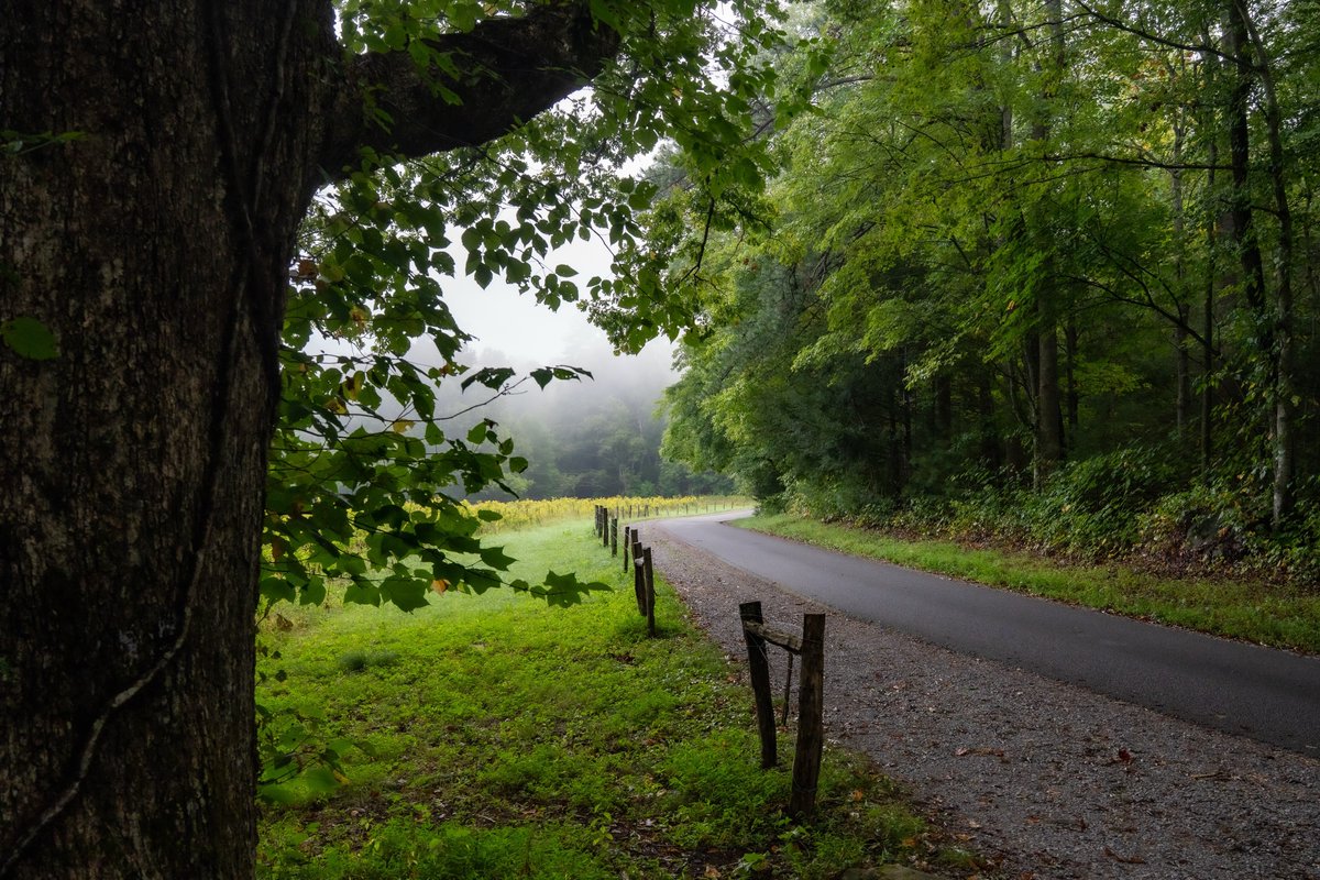 SevierFun's tweet photo. Take the long way. Roll down the windows. Let Cades Cove remind you how beautiful slowing down can be. https://t.co/6TsDcHMreL https://t.co/3mcRax544g