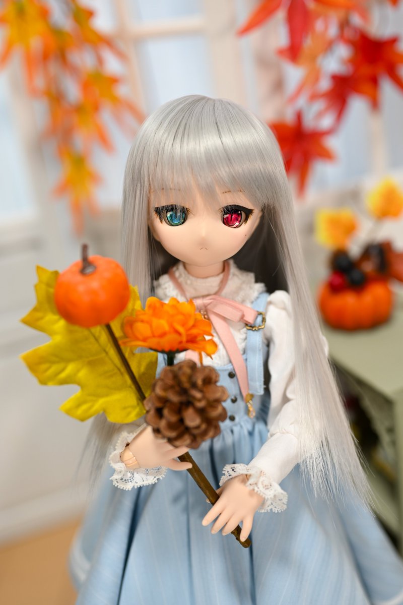 MomoSatuki's tweet photo. 秋みつけた
#MDD #うちのこかわいい https://t.co/iLINBfo5rO