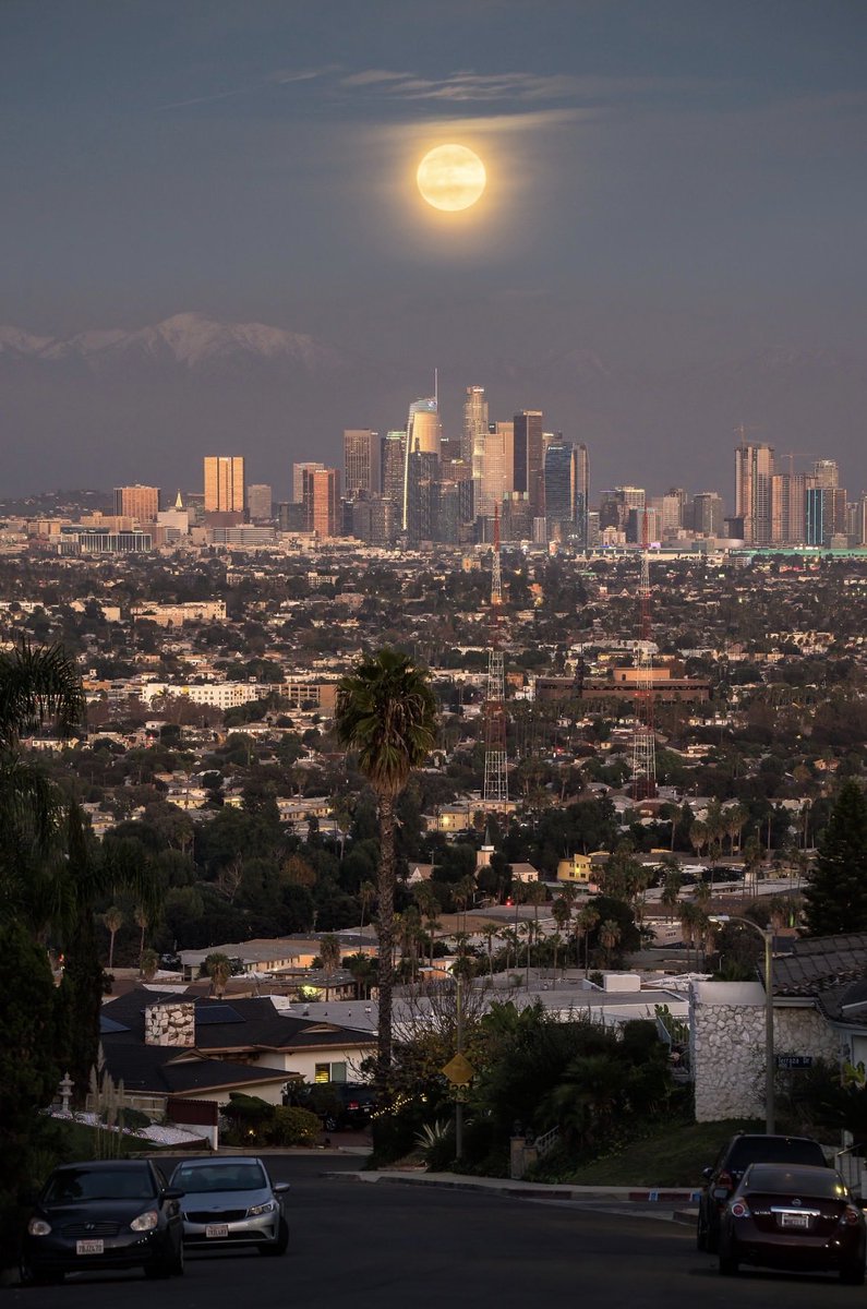 bay_photography's tweet photo. Palm trees and moonshine over Los Angeles https://t.co/mz6aSC7qgv