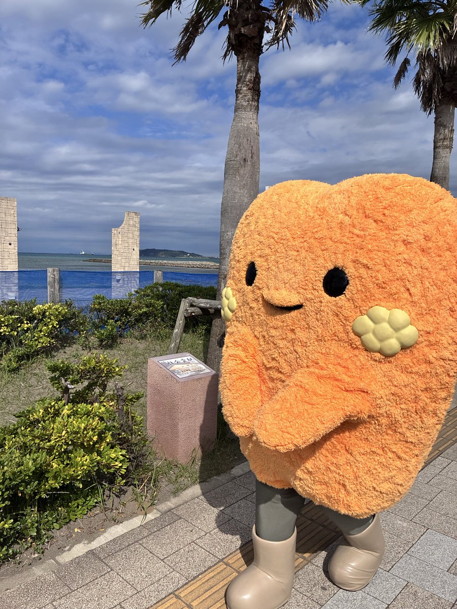 friedajichiba's tweet photo. いいお天気〜☀️🐟✨ https://t.co/ZauX4Qqhhp