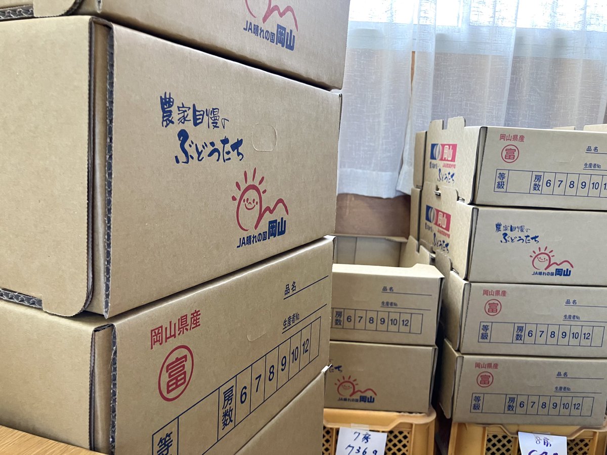 honeyandcloud's tweet photo. 予定では最終日来てるのですが、まだ終わってなくて、やってます
いいぶどうは思ったより早くなくなるし、よくない出来のぶどうは思ってるより進みがわるい
明日はほんとにほんとに最終日になるよね？と言い合いつつ https://t.co/uaOLv4nyhW