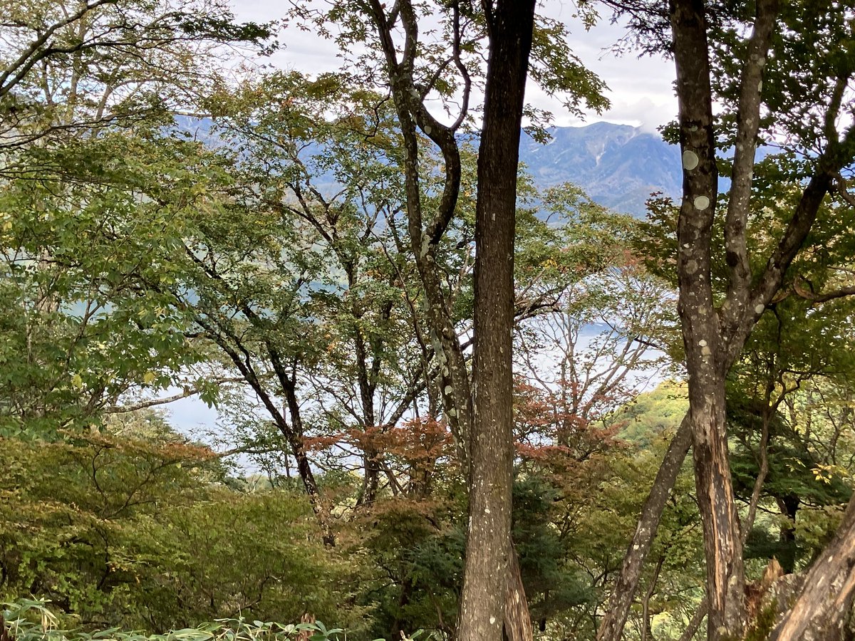 oyj_a's tweet photo. ただいまです！
脱稿後山に登ってきましたー
🐻の目撃情報もあったんだけど無事出会わずにすんだよ…
そして道なき道を進んで3回くらいルート外れそうになった😇 https://t.co/r8Z2Zg3o1f