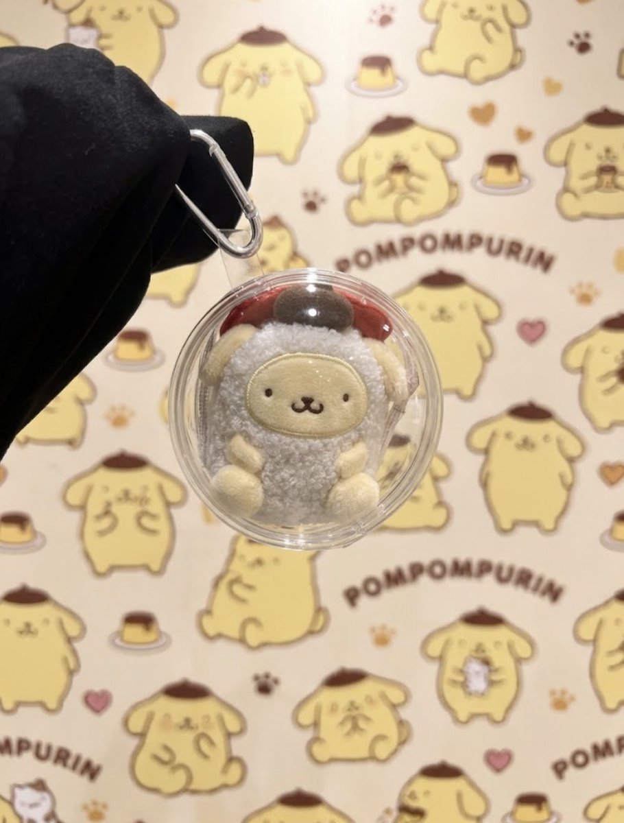 DuffyKanahei's tweet photo. ピスうさ見に行ったけどお目当てのは無かった😭😭😭
100均の100円じゃないケースにスシローコラボのポムポムはいった(´Д`)
えもじの子ふくよかのキーホルダーはいるかなぁ( •᷄ὤ•᷅)
帰ったら試そ😗
あとこのケース作ってる会社さんの紙ものが前から大好き💕
#ポムポムプリン
#スシロー
#amifa https://t.co/WDpIzC0IwJ