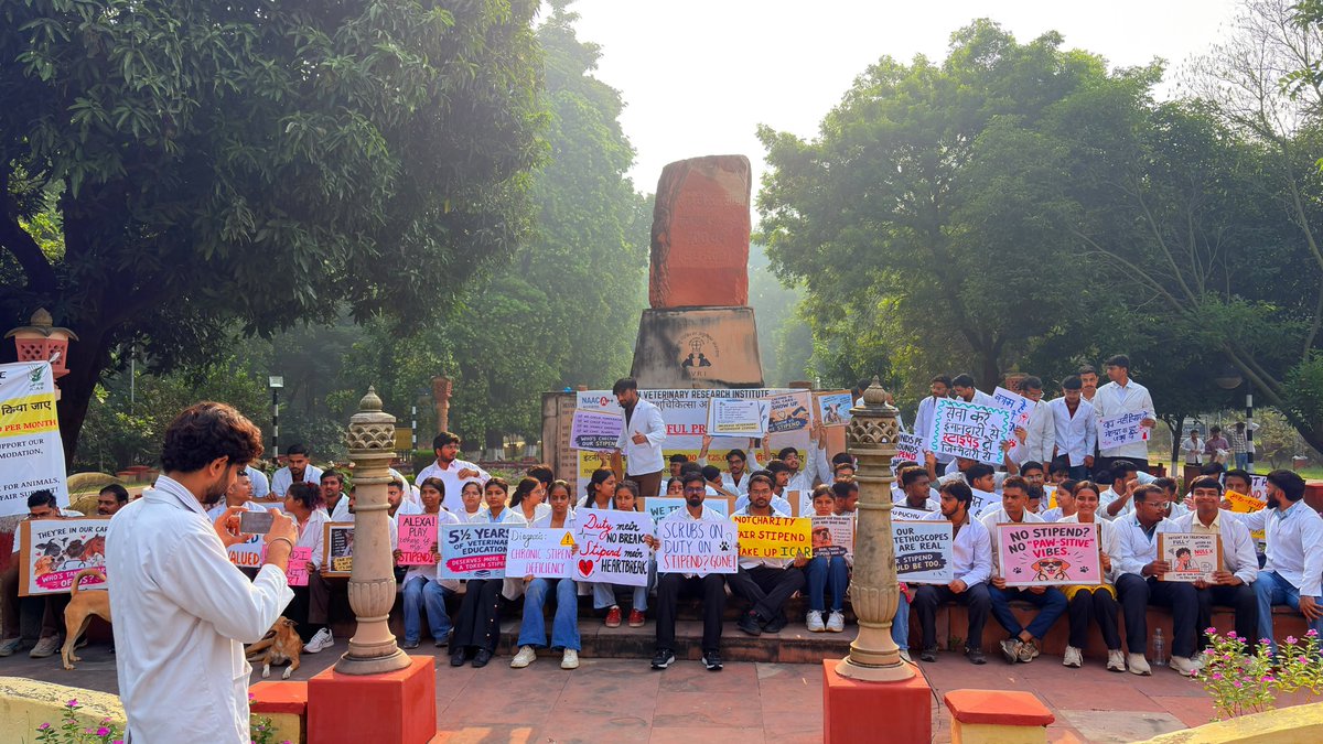 Vanshaj58933175's tweet photo. Day 3! Our spirit is stronger, our voices louder, our resolve UNBREAKABLE! We won't step back. We won't stop. Our fight continues until our demands are met! @icarindia @ivri 1889 @ChouhanShivraj @dare_goi @CimmytMl

#IVRIINTERNSTIPEND https://t.co/1KQ5NqvWS8