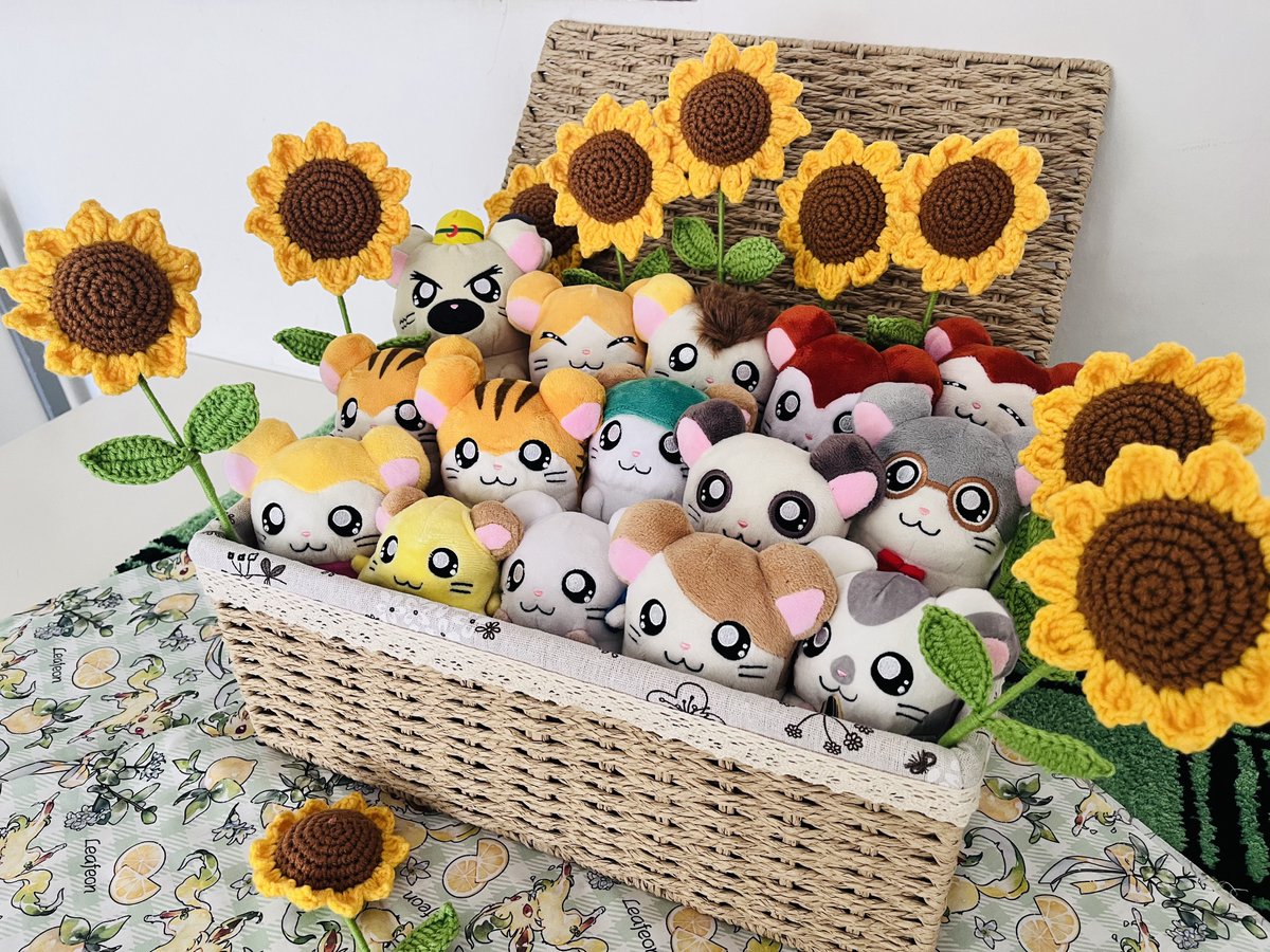 voltaircannon's tweet photo. This year I randomly decided to collect the complete Hamtaro family plush set. Amazingly, they arrived when autumn came. I got a bamboo basket for their home and added ten woven sunflowers. Hamtaro is so perfect for autumn!
#Hamtaro https://t.co/XpUfRhVi0u
