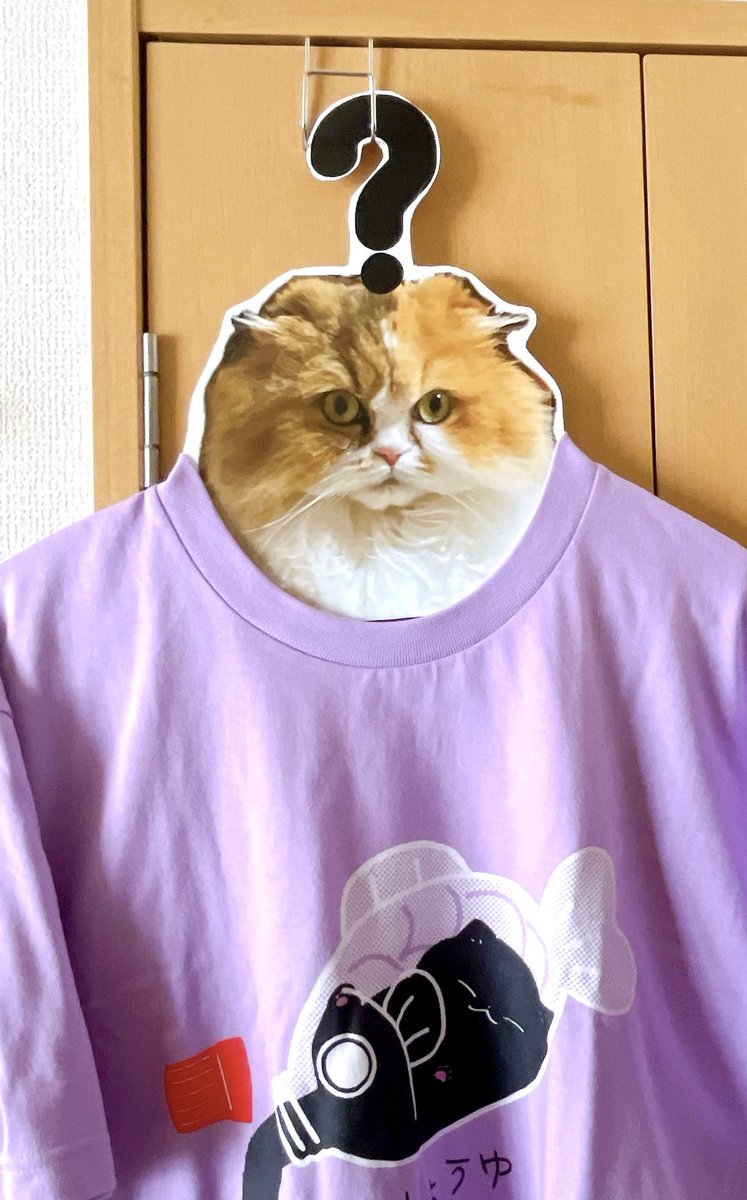 ilililli's tweet photo. ハンガーになってることに気付いてない「何もわかっていませンガー」 https://t.co/KhiJVmGvqK