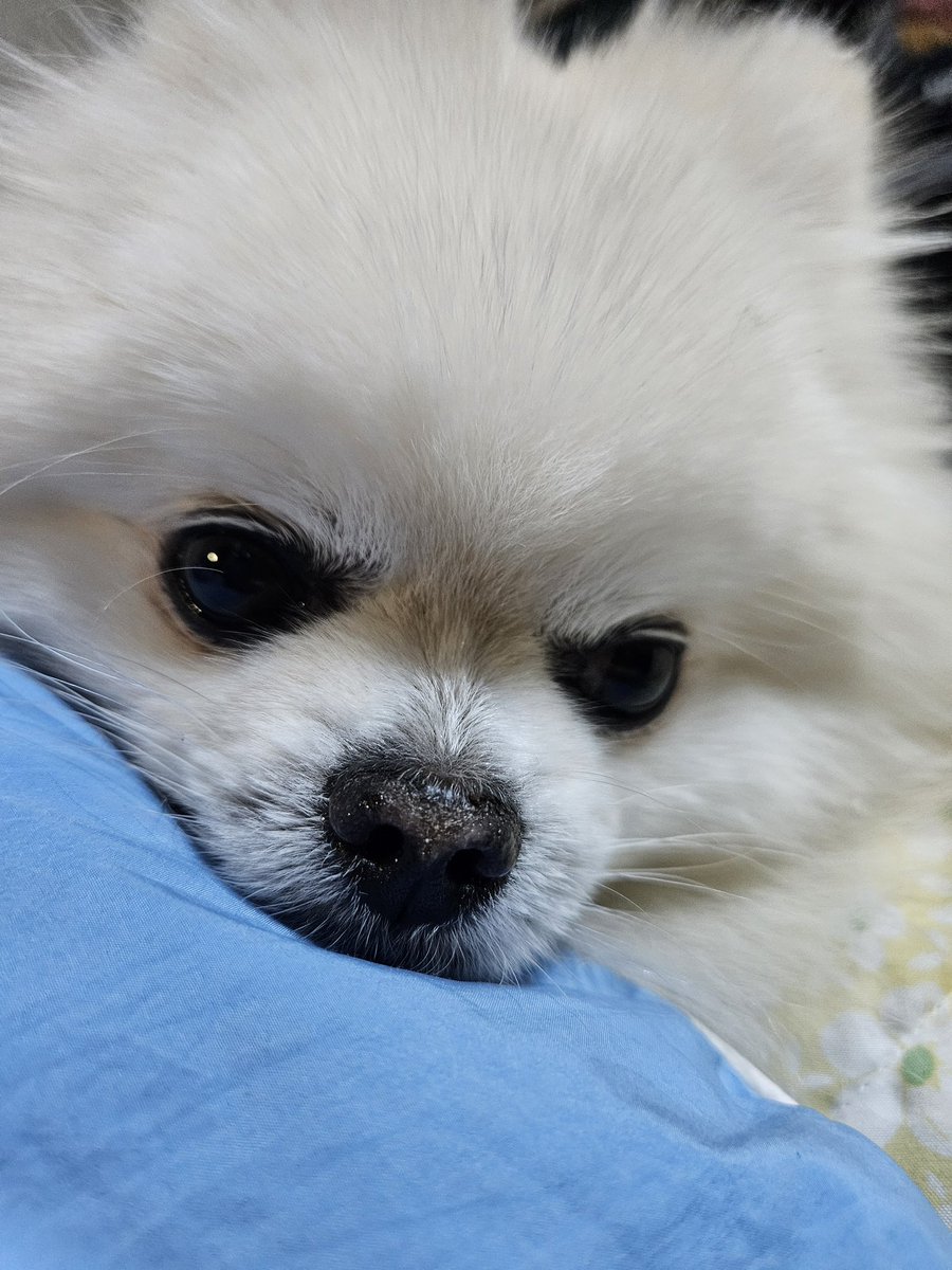 Lemon_at17's tweet photo. 얼빡모음 https://t.co/jONQnKKxfe