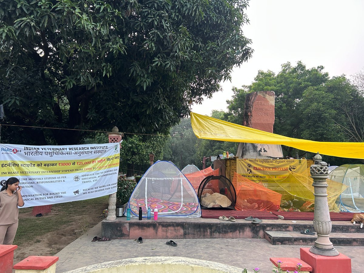 Mohit14634597's tweet photo. Day 3! Our spirit is stronger, our voices louder, our resolve UNBREAKABLE! We won’t step back. We won’t stop. Our fight continues until our demands are met! @icarindia @ivri_1889 @ChouhanShivraj @dare_goi @CimmytMl #IVRIINTERNSTIPEND https://t.co/4TfxErApL9