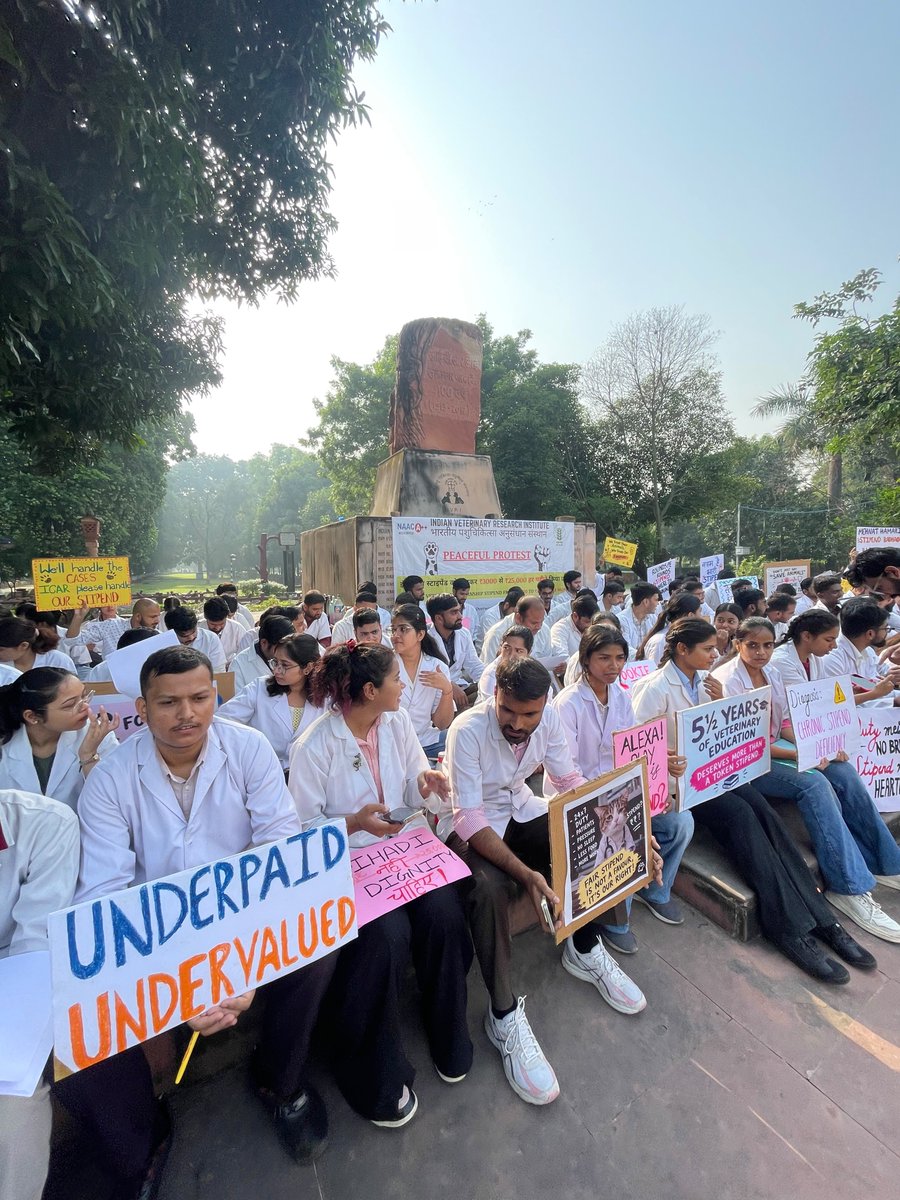 kuldeepjakh9461's tweet photo. Day 3 
Increase stipend form 3000/month to 25000/month
@icarindia @ivri1889

#IVRIINTERNSTIPEND https://t.co/CcZgswpWPY