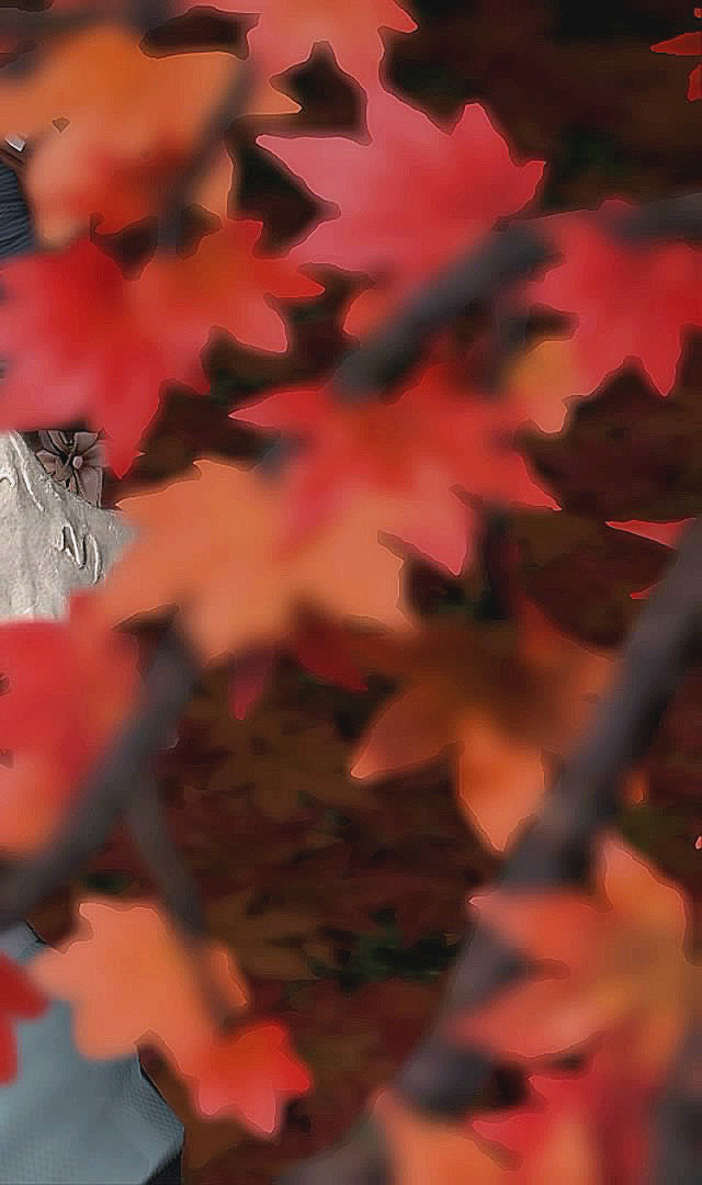 _mzmscha_'s tweet photo. ⋆

🍂🍁

#FFXIV | #FF14 |  #羽角普及委員会 | #SS | #アウラ | #FF14SS https://t.co/F6J4kYLO3i