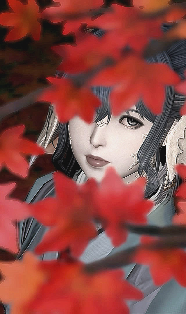 _mzmscha_'s tweet photo. ⋆

🍂🍁

#FFXIV | #FF14 |  #羽角普及委員会 | #SS | #アウラ | #FF14SS https://t.co/F6J4kYLO3i