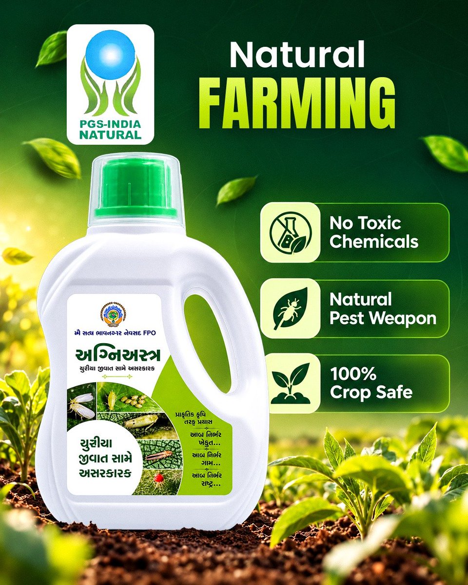 AgriGoI's tweet photo. On-Farm Bio-Inputs for Natural Farming 🌱

Gau Satva Bhavnagar Natural Farmer Producer Co Ltd #FPO from #Bhavnagar #Gujarat with 
748 farmer members, practices natural farming, prepares on farm bio-inputs using farm raw materials. Agniastra is bio-pesticide in to manage a range of pests, especially sucking insects & early larval stages of lepidopteran pests. It is important for promoting natural farming & reduced dependence on external inputs. The mixture contains natural compounds with repellent antifeedant properties.
@NITIAayog

FPO Contact: Ajit Singh 9664687286

Click to buy bio-input directly from FPO
https://t.co/PIWuD6rSoo

#NaturalFarming #Agniastra #BioInputs #OnFarmInputs #AgriGoI