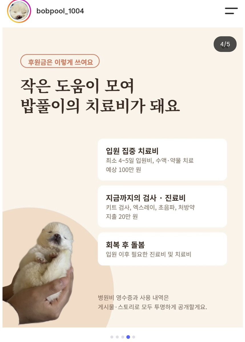 starhaedam's tweet photo. 지인이 임보중인 아이입니다.🐶🐶
후원 및 각종 문의는 게시글에 있는 인스타그램 주소로 부탁드립니다.🙏🙏
밥풀이를 위해 RT, 마음 뭐든 상관없으니 많은 관심 부탁드립니다!

#강아지 #강아지임보 #유기견 #유기견임보 #임시보호 #입양홍보 #후원 

https://t.co/pq7omcrblS https://t.co/qC4hxcfChC
