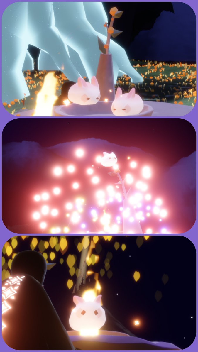 maruwaru3's tweet photo. クロ（猫）さんが遊びに来てくれた時のです🕊️✨️
ウサギ魔法溶けたら私はあの時のファイヤーウサギですと野良さんにアピールしたりｗｗｗ
動画は野良さんがタイミングよく傘開いたらパンが乗ったやつｗｗｗｗ https://t.co/Av5LmMidai