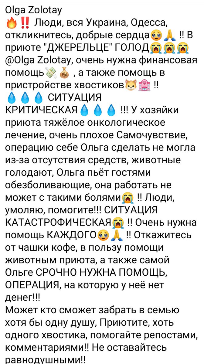 Bylbyleva's tweet photo. Просить допомоги  нагодувати приют,  частково забрати тваринок 
https://t.co/pU7OYrVKZT https://t.co/IPxJl7UUWU