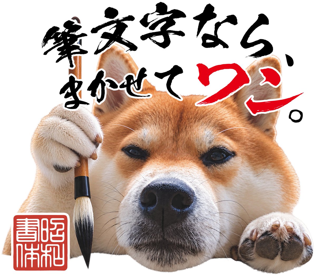 sworks_kazz's tweet photo. 柚さんがバズったので勝手に職場の看板犬にしようか悩んでる😅そしてまたアクスタ作るか悩んでる🤣 https://t.co/4T6uoDXX9j