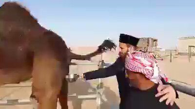 akashtpx's tweet photo. @ali_sultan81199 @sultan_aki33025 @ahmad_laeeq @learning_yohei https://t.co/Gyal9DdAbo