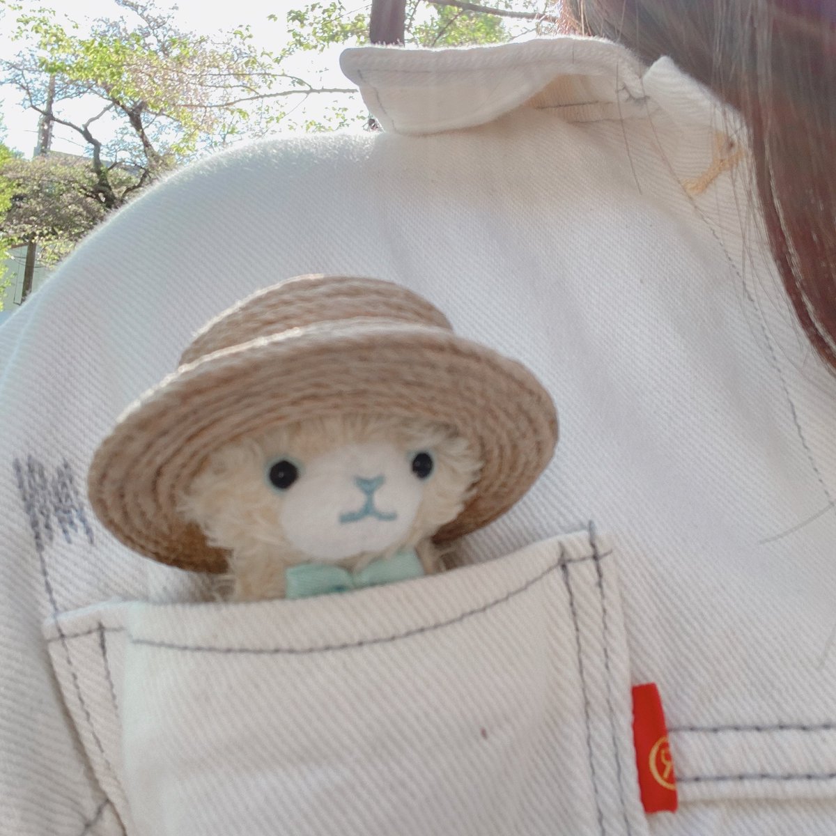 _Halco_O's tweet photo. いつも一緒 https://t.co/m3aqbnbP06