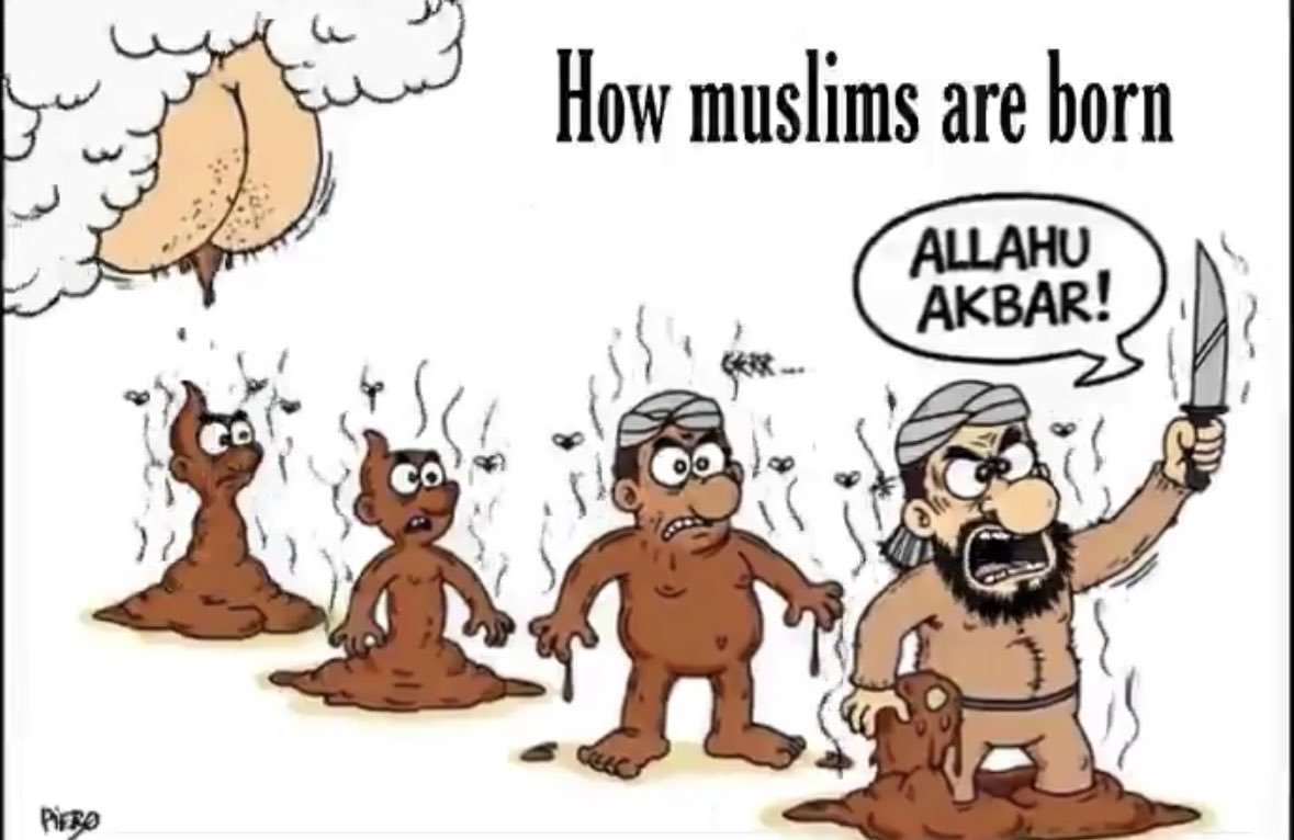 akashtpx's tweet photo. @ali_sultan81199 @sultan_aki33025 @ahmad_laeeq @learning_yohei https://t.co/zVH4osK2c7