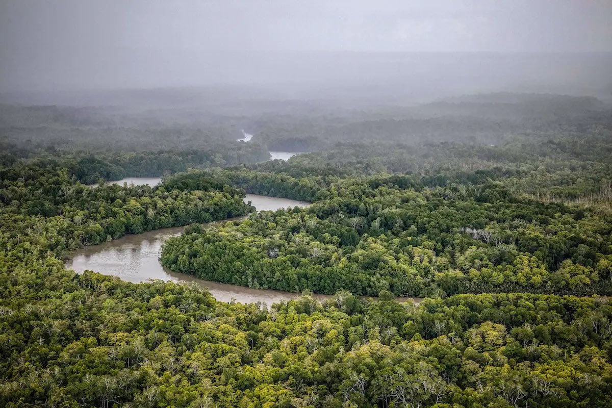 AidaGreenbury's tweet photo. Users of an online mapping tool maintained by the Indonesian Ministry of Forestry were previously able to download the latest data on deforestation, fires, and others. But for the last several weeks, an onscreen pop-up has warned that anyone who downloads data without written permission from the ministry “will be prosecuted”. 
https://t.co/zIEzEcGGYB