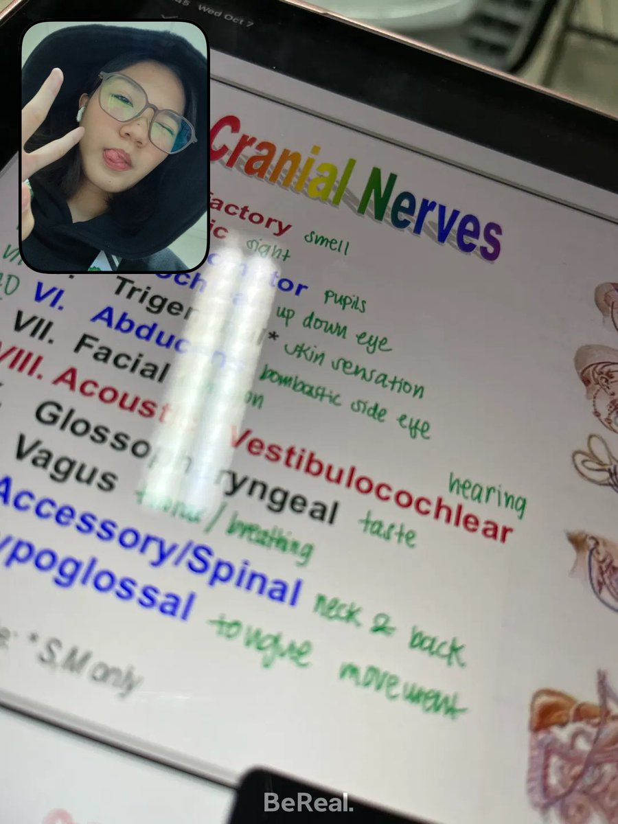 xiswallowme's tweet photo. i didnt eat lunch 1/3 quizzes down eugh #lifetwt #studytwt #metwt #archivetwt https://t.co/ErqKKatgyT