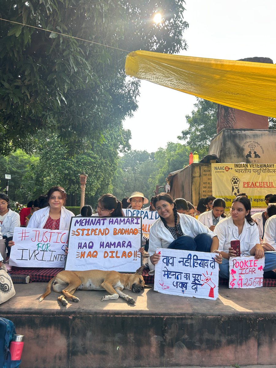 Prernaanuragi11's tweet photo. ₹50/day is not a stipend. It’s an insult to the time, effort and responsibility of veterinary students.
We deserve a stipend that reflects the work we put in.
₹25,000/month for veterinary interns — not ₹50/day.
#IVRIINTERNSTIPEND
@icarindia @ivri_1889 @CimmytMl
@htTweets https://t.co/JW2hNhXdPO