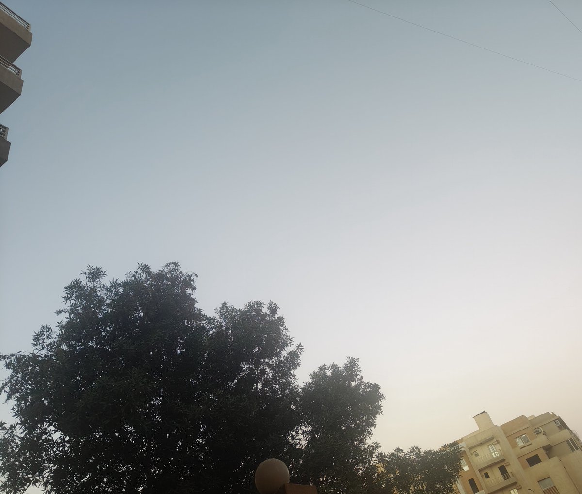ayamoha91's tweet photo. صباح صافى رايق ونسمة هواء بارده 🥰🥰 https://t.co/YDr3BPmAKW