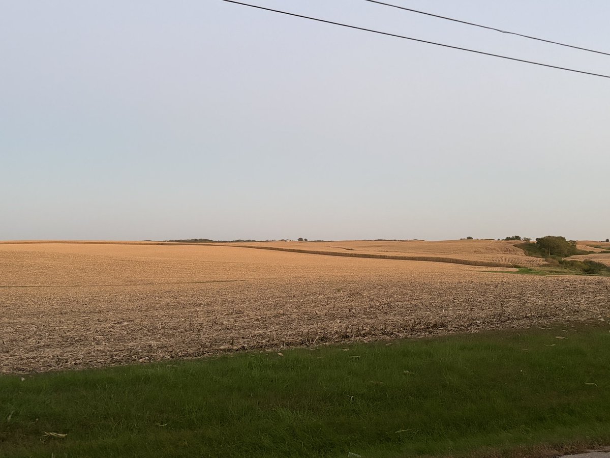 drsarahebuck's tweet photo. October 6 = it got up to 74F today & ☀️ = 👏🏻 = a good #Harvest26 🌽 day here in #NWIllinois Whiteside County #GoTime !! #AgTwitter https://t.co/He7veHIn9R