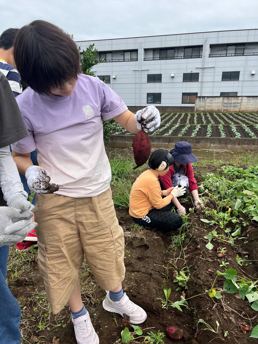 OHANAKIDS187784's tweet photo. お久しぶり投稿
さつまいも掘り
掘る体験時間は短時間でしたが
掘ったイモを入れる袋を準備
持って歩いて移動
受付で待つ
軍手をつける
順番に芋ほり
掘ったイモを入れた袋を持って施設に戻る
一つのイモを蒸かして食す
#OHANAKIDS #大泉学園 #さつまいも掘り #軍手 #袋 https://t.co/M3thKgh0DG