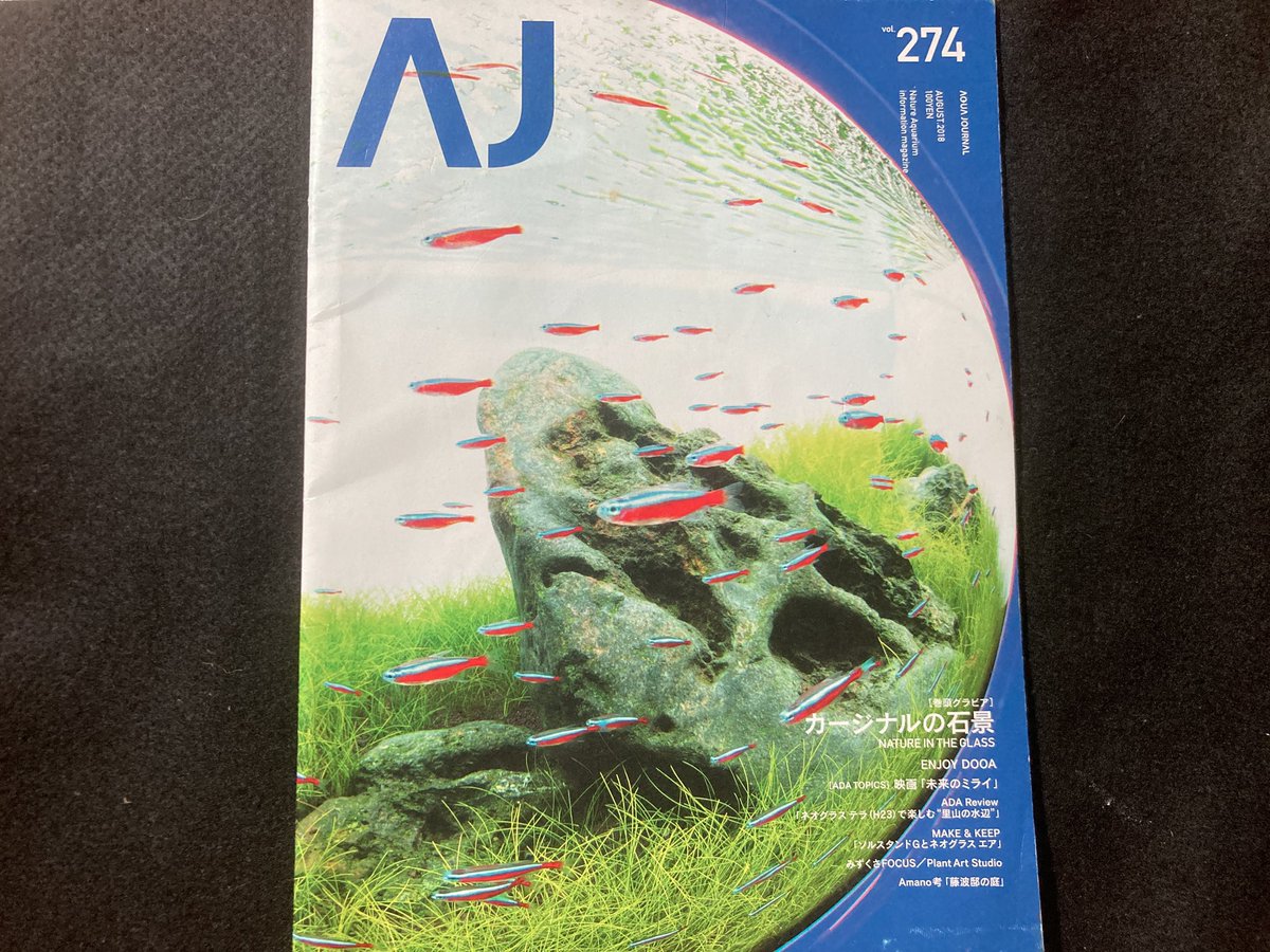 satoshinnosub's tweet photo. 最初に入手したアクアジャーナルがストックしていた新聞紙の間から見つかった。
2018年の7月号
この #石組み水槽 に感銘を受けて立ち上げた水槽が写真右下。
ビギナーズラックかニューラージパールグラスがモリモリ育ったが何故か現在は上手く育てられない。
しかし、このAJが見つかったのはエモい。 https://t.co/T0GUg5sk4U