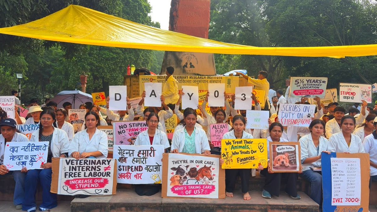 Siddharthify's tweet photo. DAY 3 !

Our protest for a fair veterinary internship stipend continues
We will not rise until our demands are met 
@icarindia @ChouhanShivraj @ivri_1889 @dare_goi @CimmytMl @YashpalSMa16711 @PMOIndia @htTweets @ZeeNews @ndtvindia @ABPNews @aajtak @indiatvnews 
#IVRIINTERNSTIPEND https://t.co/UtxoLcuNuK