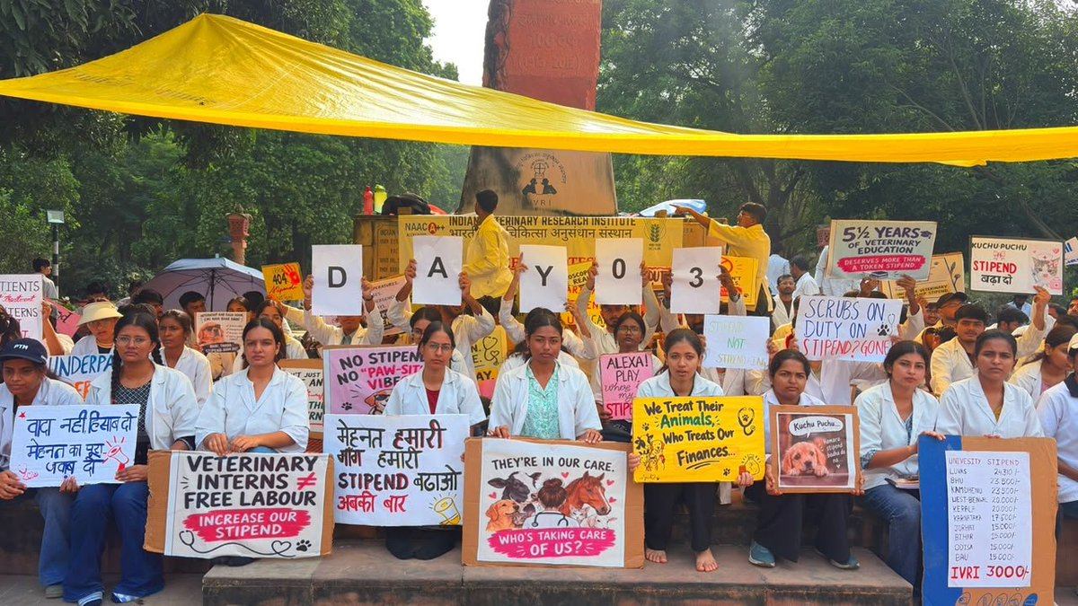Prernaanuragi11's tweet photo. DAY 3 !

Our protest for a fair veterinary internship stipend continues
We will not rise until our demands are met 
@icarindia @ChouhanShivraj @ivri_1889 @dare_goi @CimmytMl @YashpalSMa16711 @PMOIndia @htTweets @ZeeNews @ndtvindia @ABPNews @aajtak @indiatvnews 
#IVRIINTERNSTIPEND https://t.co/wlwApmgdS7