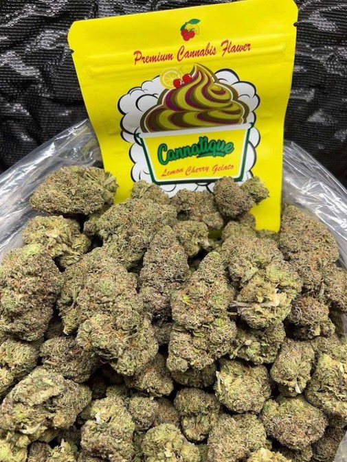 Mie050's tweet photo. Everyone needs to try those 👇🏽🌿
🔸White Cherry Slushie / $800/P
🔸 Lemon cherry Gelato/$900/P
🔸White cherry Gelato/ $800 /P

Shop here📲 https://t.co/hND8x3T3Bf

#buds #Miami #Florida #Miami #Tallahassee #indica #hybrid #sativa #gelato #zaza #cannabis #gas #weed #drugs #shrooms https://t.co/PjXTsfBX0e