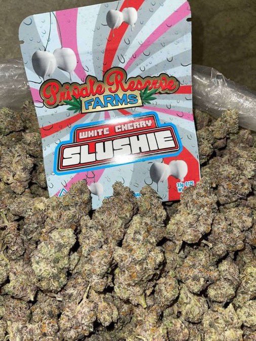 Mie050's tweet photo. Everyone needs to try those 👇🏽🌿
🔸White Cherry Slushie / $800/P
🔸 Lemon cherry Gelato/$900/P
🔸White cherry Gelato/ $800 /P

Shop here📲 https://t.co/hND8x3T3Bf

#buds #Miami #Florida #Miami #Tallahassee #indica #hybrid #sativa #gelato #zaza #cannabis #gas #weed #drugs #shrooms https://t.co/PjXTsfBX0e