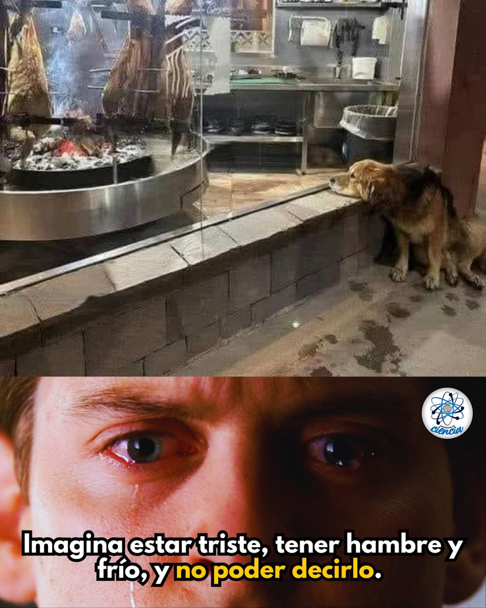 EnsedeCiencia's tweet photo. 💔 https://t.co/V44sZqvnjg