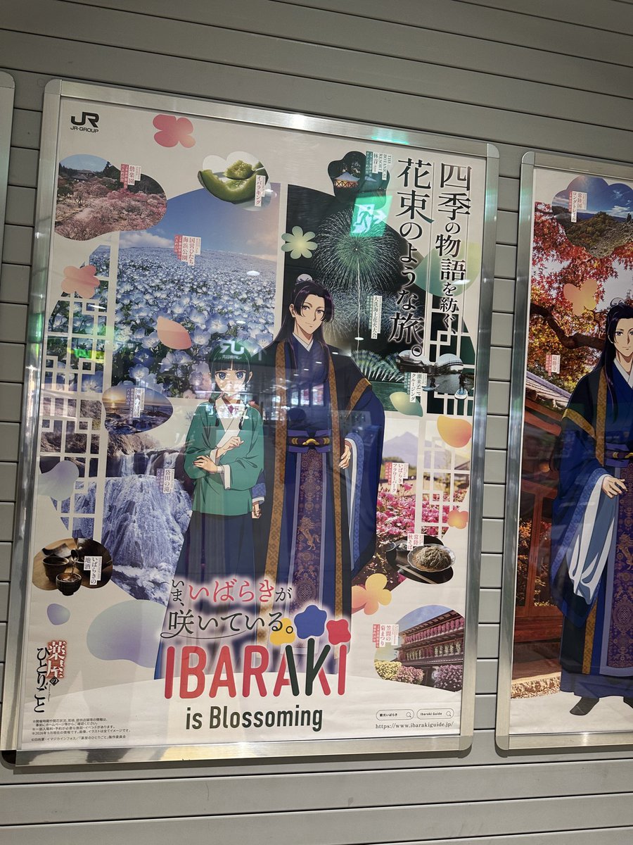 waka_bbpic's tweet photo. 「いばらき」とひらがな表記が良い🙂

茨城県の定番の自虐ネタを
入れてて打ち解けやすいですね。

この広告が秀逸なのは
5枚セットにしているところ（4枚セットもある？）に2つの良ポイントがありますね
　↓↓
①
通年通して茨城県は楽しめる場所🙂

②
薬屋のひとりごとファンもキャラが楽しめる🙂 https://t.co/H23ZCprqUR