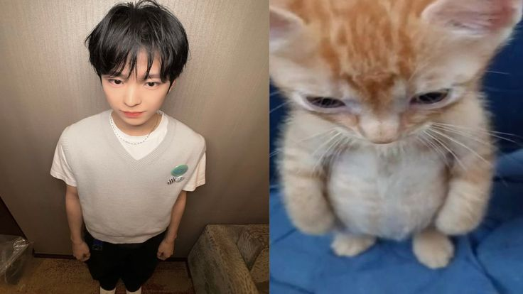 tokunowife0445's tweet photo. 하 얘 하는 짓이랑 고양이랑 붙어있는 사진 왤케 귀여움. https://t.co/moWAeChz7F
