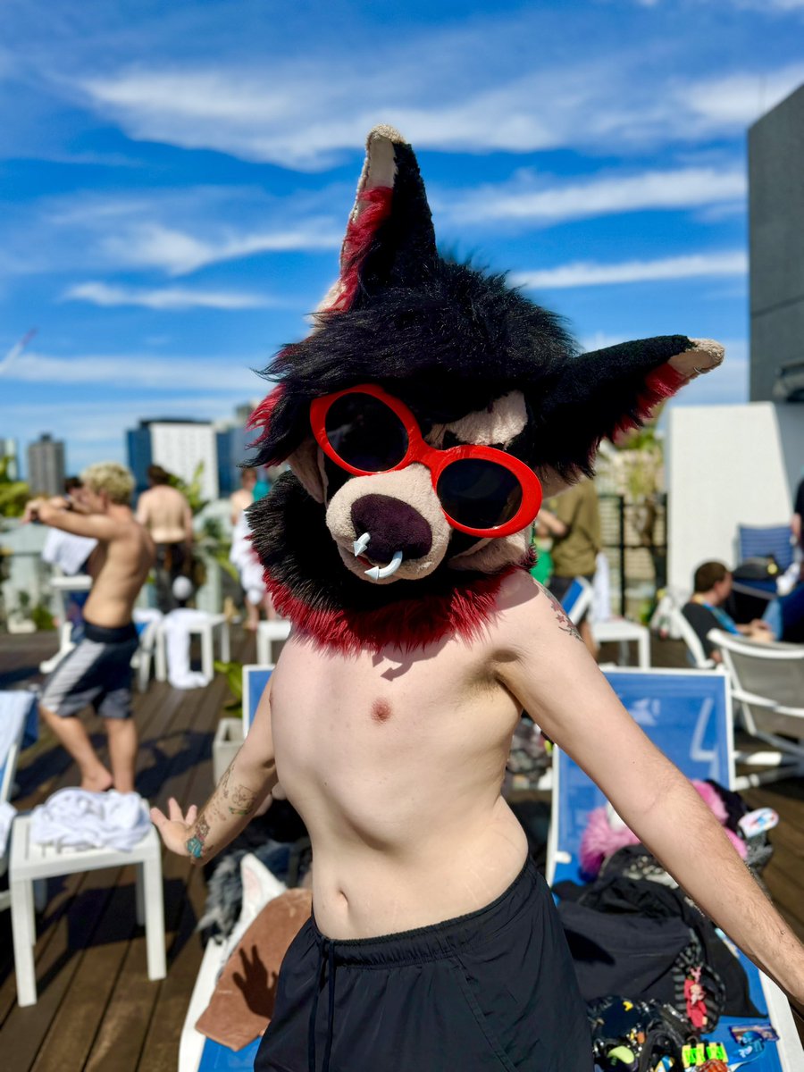 Dennis_Gunnn's tweet photo. Fuzzy pool party rawrrrr 🐱 https://t.co/fhtQeoO3oY