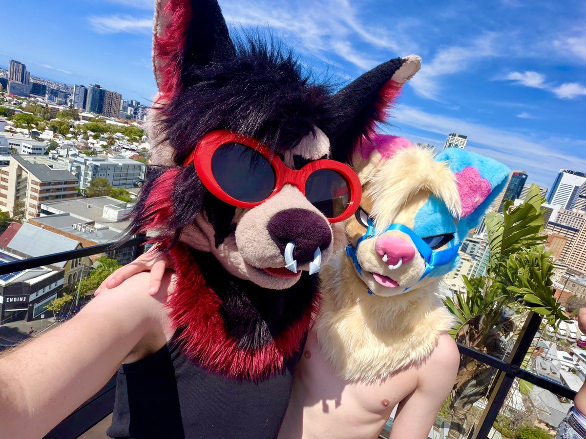 Dennis_Gunnn's tweet photo. Fuzzy pool party rawrrrr 🐱 https://t.co/fhtQeoO3oY