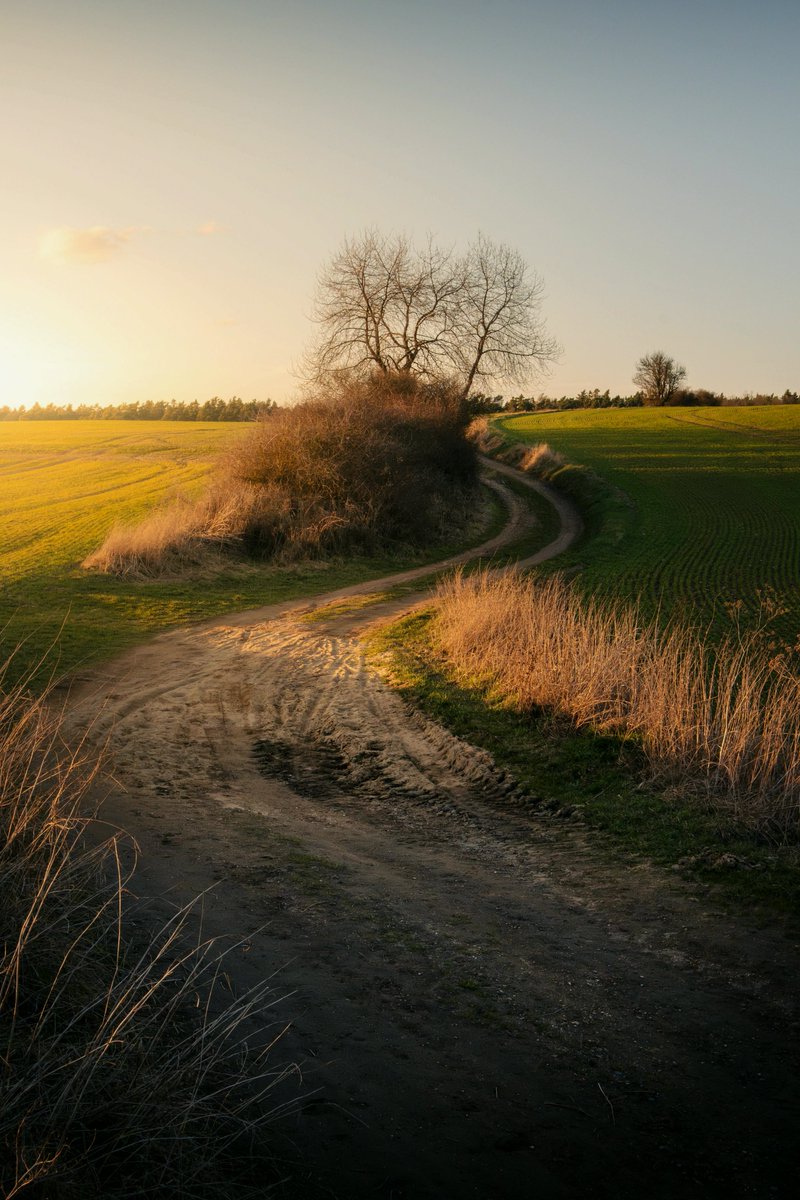 yamaguchitrwt's tweet photo. Golden hour field
#TopSnacks #LISALOUISVUITTONSS27 https://t.co/WkhfEGNorl
