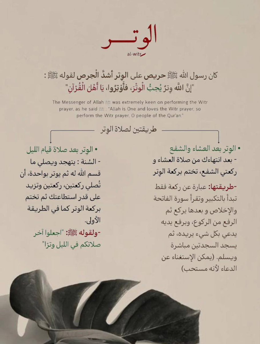 wiznuur2's tweet photo. لا تنسَ الوتر…
فهي راحةٌ للقلب، وقُربٌ من الله 🤎. https://t.co/DjVIc00JjW