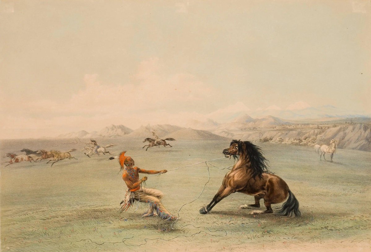 xPrinceJuba's tweet photo. Today, Catlin's paintings remain some of the most recognizable visual records of Indigenous life in the American West. https://t.co/az3YcJlYB4