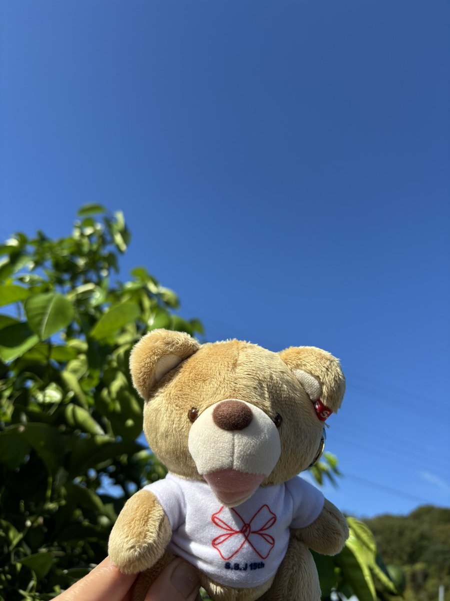 Jun30start's tweet photo. おはようございます🌱

爽やかな朝～☀️

今日は、忙しくなるよ

気合い入れてこっ💪🔥

淳ちゃん、皆さん、今日も素敵な1日を\(^o^) /

 #志尊淳 さん
 #SSJ https://t.co/teuOQZZEO8